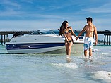2015 Bayliner 190 Deck Boat Photo #4