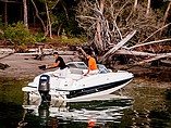 2015 Bayliner 190 Deck Boat Photo #5