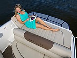 2015 Bayliner 195 Deck Boat Photo #6