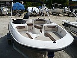 15 Bayliner Element
