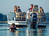 2015 Bayliner Element Xr7 Photo #3