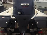 2015 Blackjack 224 Bay Photo #2