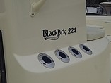 2015 Blackjack 224 Bay Photo #8