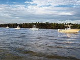 2015 Bluewater 2350 Center Console Photo #5
