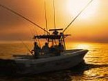 2015 Bluewater 2850 Center Console Photo #19