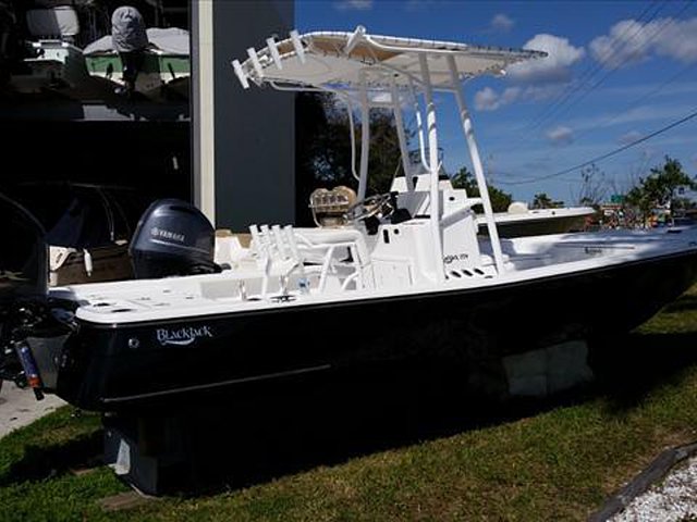 2015 Blackjack 224 Photo