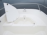 2015 Boston Whaler 150 Super Sport Photo #14