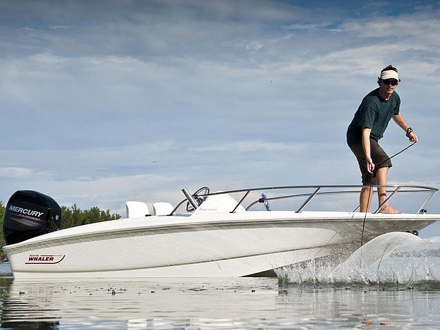 2015 Boston Whaler 150 Super Sport Photo