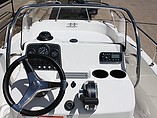 2015 Boston Whaler 170 Dauntless Photo #10