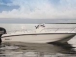 2015 Boston Whaler 170 Dauntless Photo #4