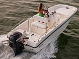2015 Boston Whaler 170 Dauntless Photo #2