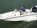 2015 Boston Whaler 170 Dauntless Photo #6