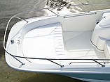 2015 Boston Whaler 170 Super Sport Photo #8