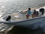 2015 Boston Whaler 180 Dauntless Photo #2