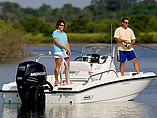 2015 Boston Whaler 180 Dauntless Photo #3