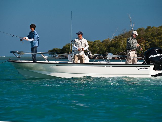 2015 Boston Whaler 190 Montauk Photo