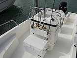 2015 Boston Whaler 190 Montauk Photo #8