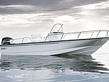 15 Boston Whaler 210 Montauk