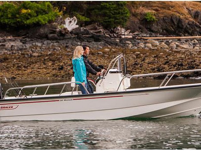 2015 Boston Whaler 190 Montauk Photo