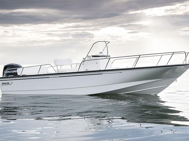 2015 Boston Whaler 210 Montauk Photo