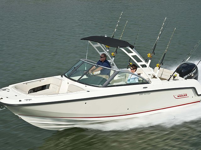 2015 Boston Whaler 230 Vantage Photo