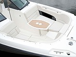 2015 Boston Whaler 230 Vantage Photo #8