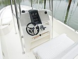 2015 Boston Whaler 240 Dauntless Photo #4
