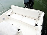 2015 Boston Whaler 240 Dauntless Photo #8