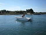 2015 Boston Whaler 240 Dauntless Photo #8