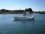 2015 Boston Whaler 240 Dauntless Photo #9