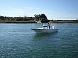 2015 Boston Whaler 240 Dauntless Photo #10