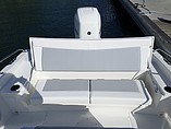 2015 Boston Whaler 240 Dauntless Photo #26
