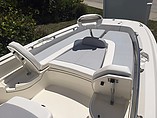 2015 Boston Whaler 240 Dauntless Photo #10