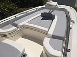 2015 Boston Whaler 240 Dauntless Photo #14