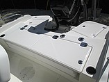 2015 Boston Whaler 240 Dauntless Photo #4