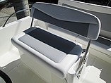 2015 Boston Whaler 240 Dauntless Photo #7