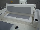 2015 Boston Whaler 240 Dauntless Photo #19