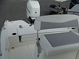2015 Boston Whaler 240 Dauntless Photo #23