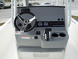 2015 Boston Whaler 240 Dauntless Photo #27