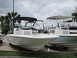 2015 Boston Whaler 240 Dauntless Photo #3