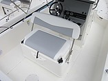 2015 Boston Whaler 240 Dauntless Photo #17