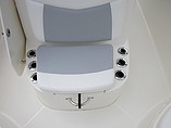 2015 Boston Whaler 240 Dauntless Photo #28