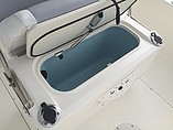 2015 Boston Whaler 240 Dauntless Photo #10