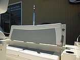 2015 Boston Whaler 240 Dauntless Photo #12