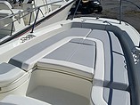 2015 Boston Whaler 240 Dauntless Photo #4