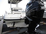 2015 Boston Whaler 240 Dauntless Photo #2