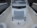 2015 Boston Whaler 240 Dauntless Photo #5