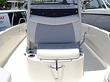 2015 Boston Whaler 240 Dauntless Photo #4