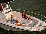 2015 Boston Whaler 240 Dauntless Photo #4