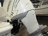 2015 Boston Whaler 240 Dauntless Photo #17